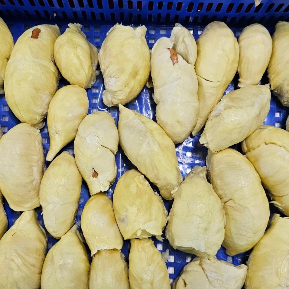 دوريان