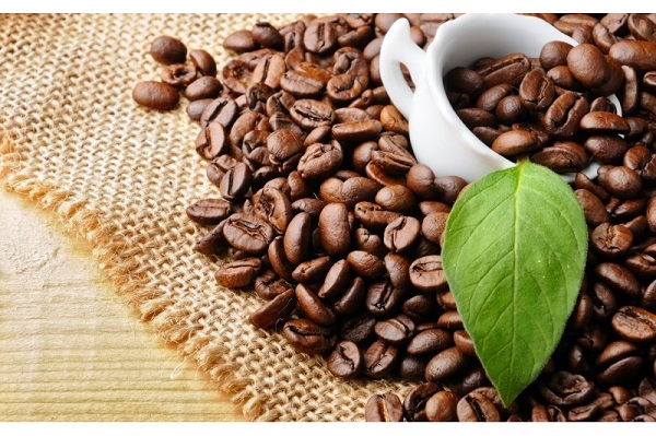 حبوب القهوة المحمصة من نوع الأرابيكا