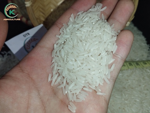 أرز مكسر DT08 بنسبة 5%