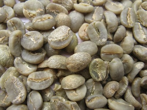 عربيكا G1S16
