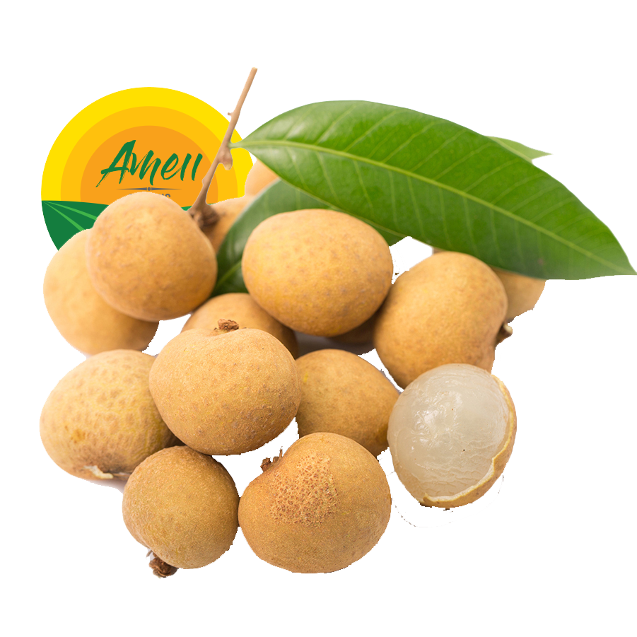 لونجان طازج
