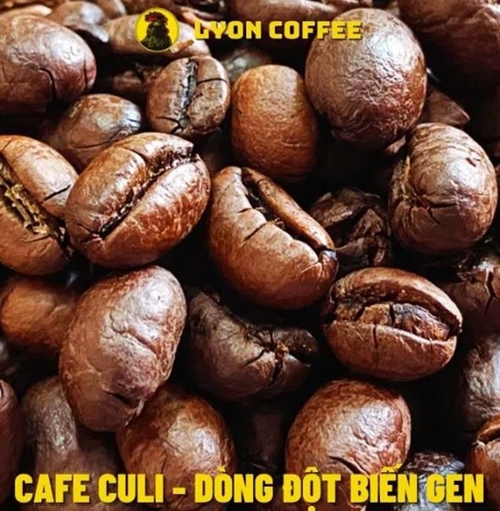 قهوة بيبيري