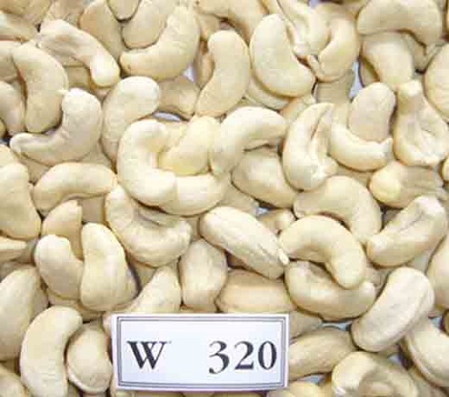 نواة الكاجو البيضاء W320