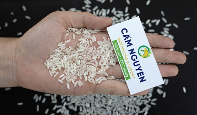 2517 الأرز الأبيض