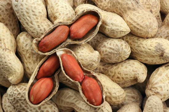فول سوداني هندي