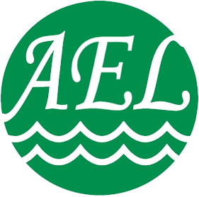 خط آسيا السريع فيتنام (A.E.L فيتنام)