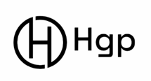 شركة HGP فيتنام للتجارة والخدمات والإنتاج والتصدير المحدودة